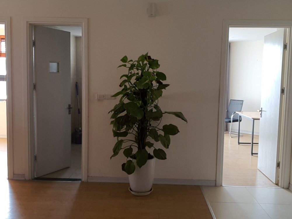 Alternative view of Cho thuê căn hộ chung cư golden field 124m2.3N.2VS